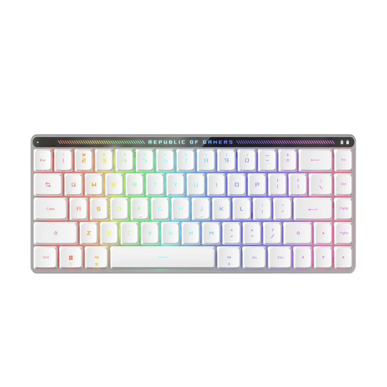 ASUS M603 Falchion Low Profile RX Red 01 คีย์บอร์ดไร้สาย สีขาว ภาษาอังกฤษ ASUS M603 Falchion Low Profile RXRed Keyboard (พิมพ์ไว สมูท เสียงเบา)