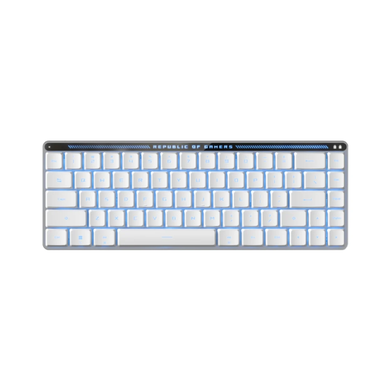ASUS M603 Falchion LowProfile RX Blue 01 คีย์บอร์ดไร้สาย สีขาว ภาษาอังกฤษ ASUS M603 Falchion Low Profile RXBlue Keyboard (พิมพ์แล้วมีเสียงคลิก และได้แรงต้าน 2 จังหวะ)